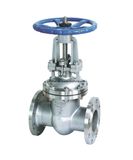 Stainless Steel ANSI Flanged Gate Valves