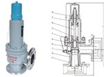 Spring Loaded Safety Valve (A41)