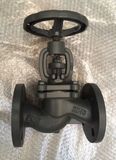 DIN PN16 Flanged End Cast Iron Globe Valves