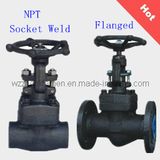 Forged Steel Globe Valve (SW, NPT, Flanged)