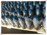 Bs Screwed Water Pressure Safety Valve (PSV-1)