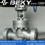 Bs 1873 Globe Valve (J541Y)