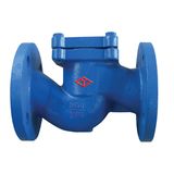 DIN Gg25 Cast Iron Lift Check Valve with CE