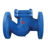 DIN Gg25 Cast Iron Lift Check Valve with CE