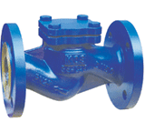 DIN Cast Steel Check Valve