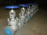 Globe Valve