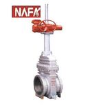 Petroleum & Chemical Valve (NF-016)