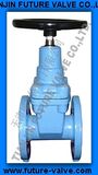 Cast Iron Non-Rising Stem Gate Valves (Z45X-16)