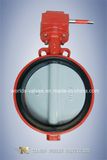 Nylon Coated Butterfly Valve (D371X-10/16)