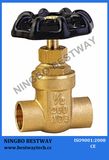 Copper Gate Valve for Water Meter (BW-G08)