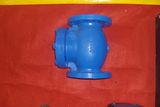 DIN Swing Check Valve (H44T/X-16)