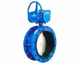 Double Flanged Type Concentric Butterfly Valve