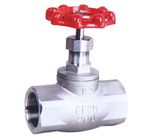 Globe Valve