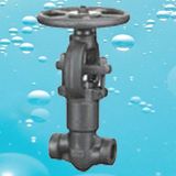 Pressure Seal Globe Valve