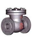 Low Temperature Check Valve