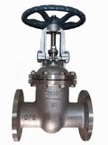 Stainless Steel Gate Valve