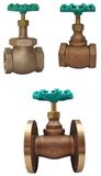 Bronze Globe Valve