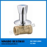 High Quality Brass Built in Valve (BW-S13)