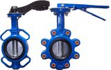 Ductile Iron Wafer Butterfly Valve Manufacturer with CE Certificate