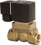 2 Ports High Temperature Solenoid Valve (BT116 Series)