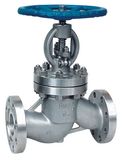 Stainless Steel Globe Valve