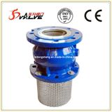Cast Iron Foot Check Valves