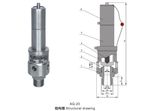 Air Compressor Relief Valve (AQ-20)