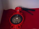 Stainless Steel Body Butterfly Valve