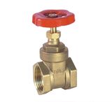 Brass Gate Valve (J2001)