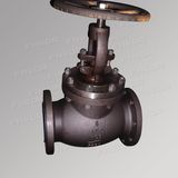 Globe Valve