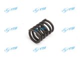 Valve Spring/Jmc Parts/Auto Parts