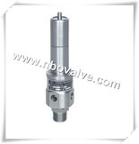 Air Compressor Type Safety Valve (KA61Y)