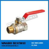 Steel Handle Brass Valve (BW-B38)