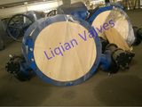 Flanged Center Line Butterfly Valve