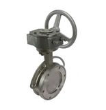 Double Eccentric Butterfly Valve (D71X)