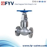 API Pressure Sealing Globe Valve