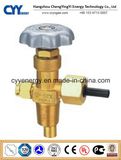 High Quality Gas Cylinder Valve for Ar Cylinder