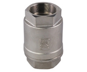 Stainless Steel 2-PC Vertical Check Valve, Pn40 (MSIV013)