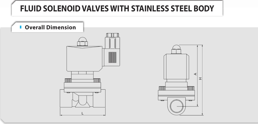 2wb200-20s Water Solenoid Valve/Stainless Steel Water Solenoid Valve ...