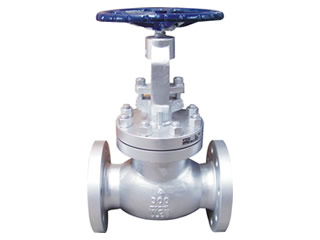 Globe Valve